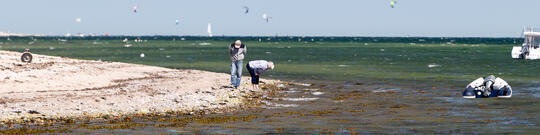 Fossilienfreunde am Ostseestrand