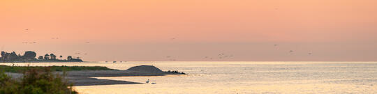 Sonnenaufgang in der Eckernförder Bucht