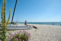 Ostsee-Sandstrand